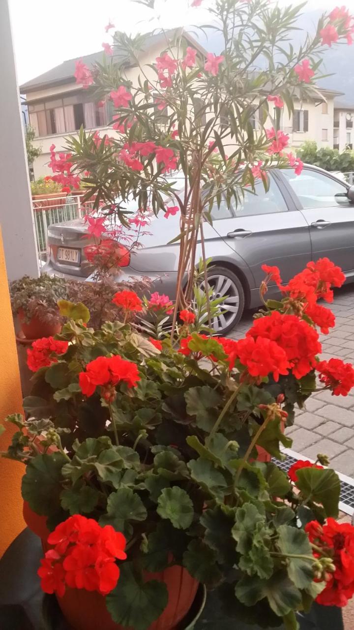 La Casa Del Grillo 1 Bed and Breakfast Αόστα Εξωτερικό φωτογραφία